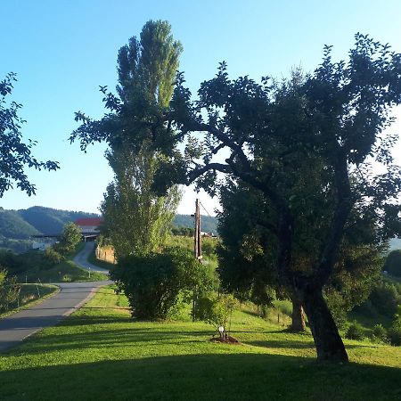 Maxl Villa Maltschach Bagian luar foto