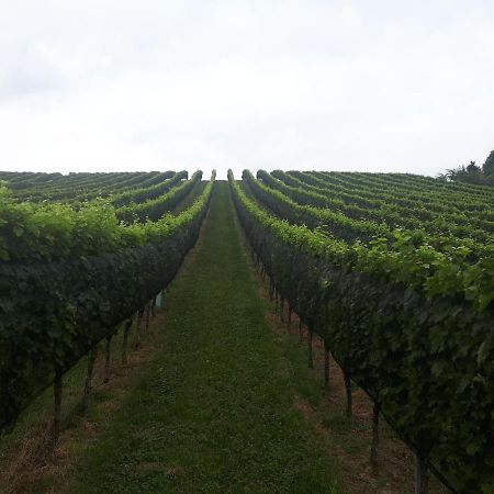 Maxl Villa Maltschach Bagian luar foto