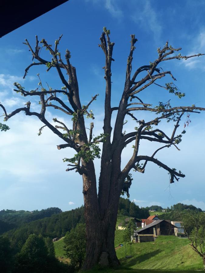 Maxl Villa Maltschach Bagian luar foto