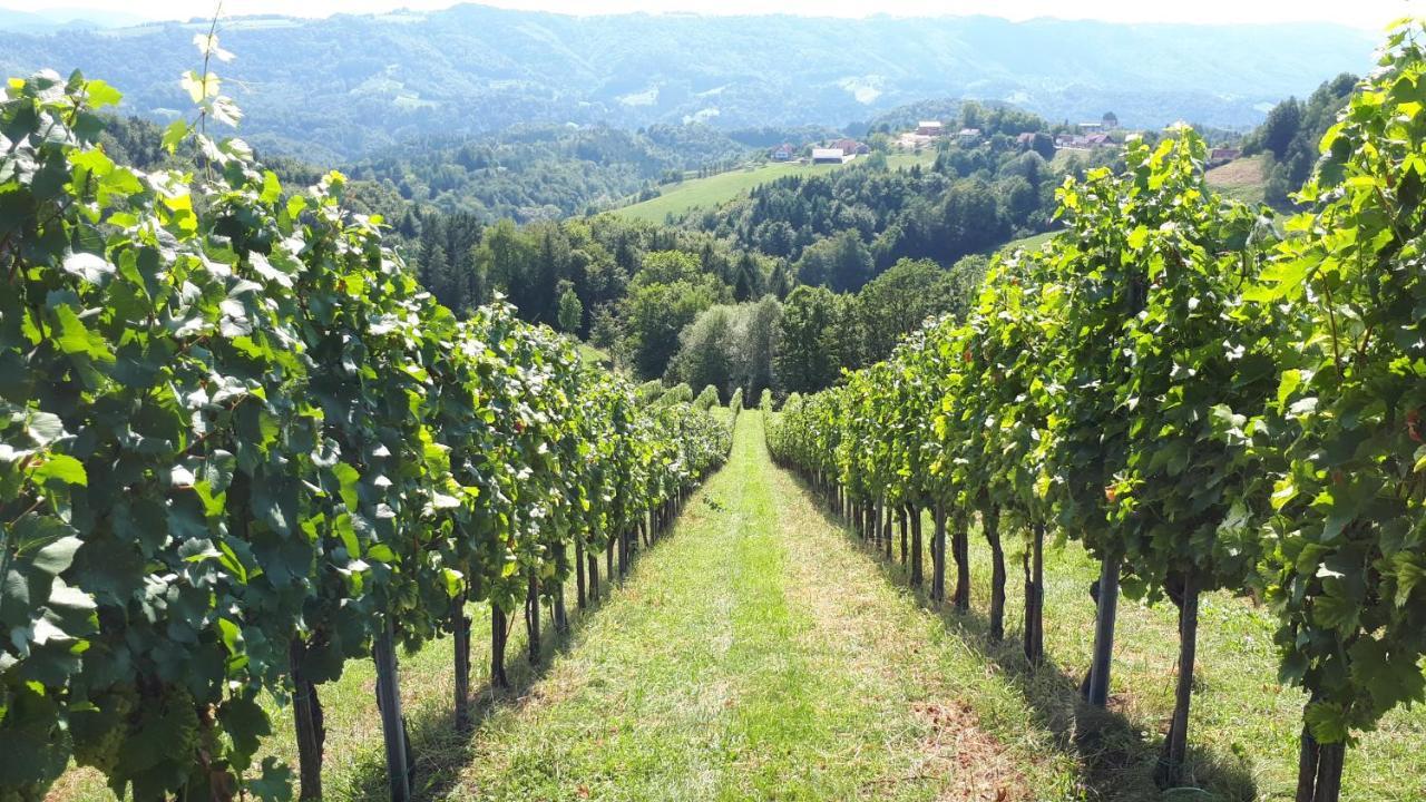Maxl Villa Maltschach Bagian luar foto