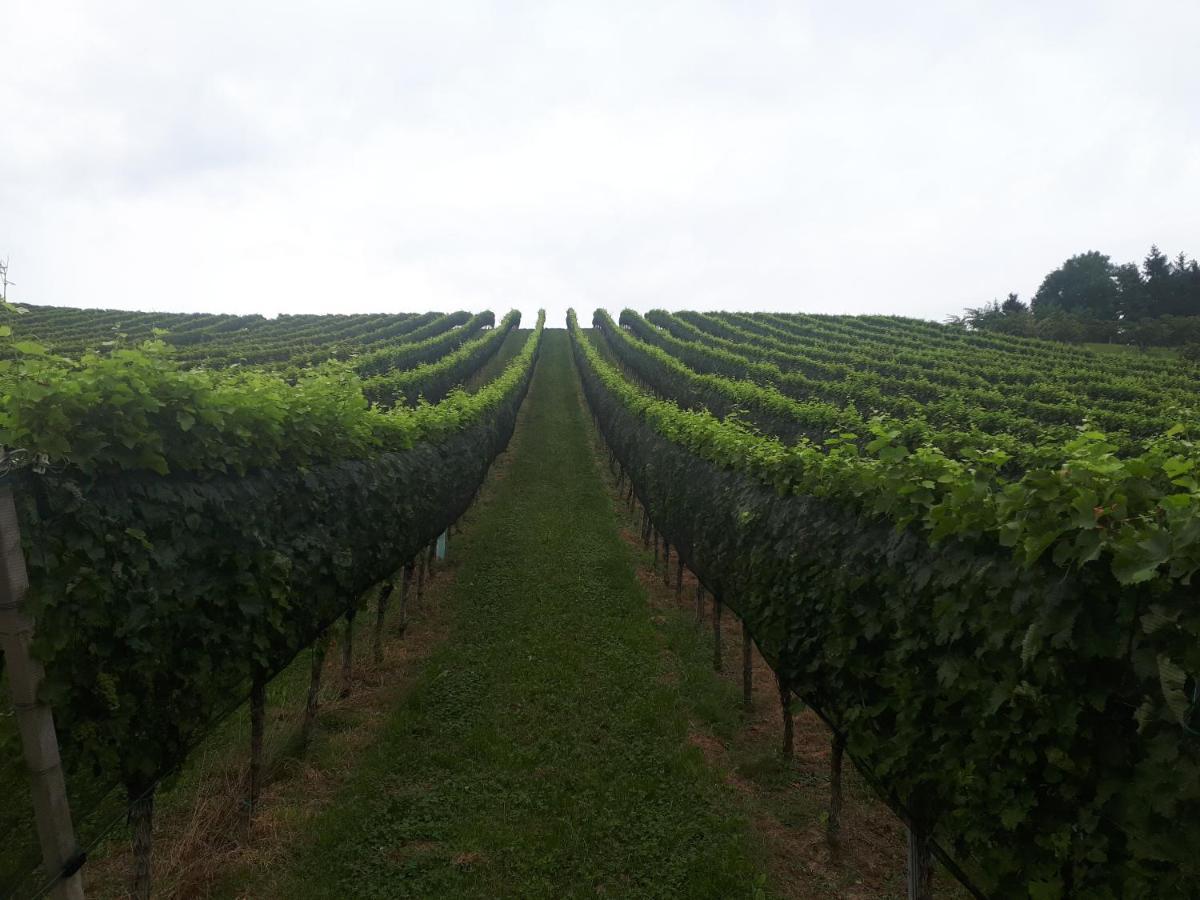 Maxl Villa Maltschach Bagian luar foto